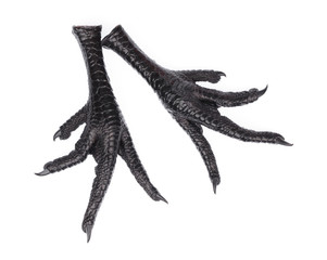 black chicken feet isolated on white background