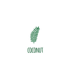 Vector isolated tropical jungle green palm leaves.