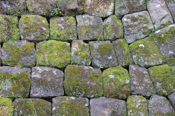 苔生した石垣(神奈川県)
