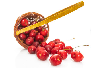 Basket of fresh sour cherries isolated on white