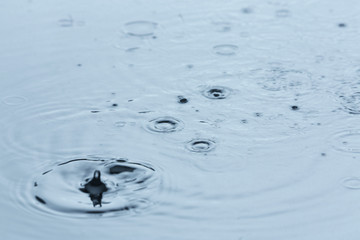 Rain drops falling down into puddle outdoors