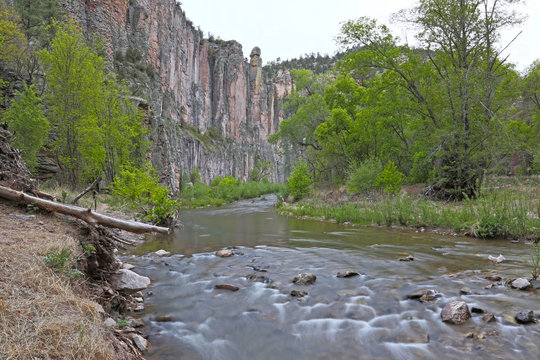 The Middle Fork Gila River, in the Gila National Forest, New Mexico.