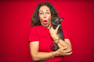 Middle age senior woman holding cute chihuahua dog over red isolated background scared in shock with a surprise face, afraid and excited with fear expression