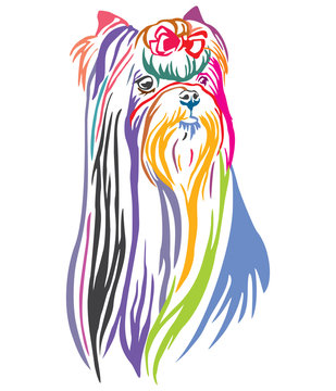 Colorful decorative portrait of Yorkshire Terrier vector illustration