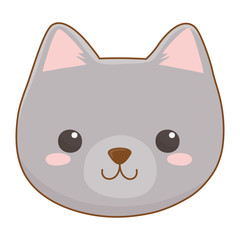 Isolated cat cartoon design vector illustrator