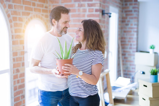 Middle age senior romantic couple holding aloe vera plant smiling happy for moving to a new house