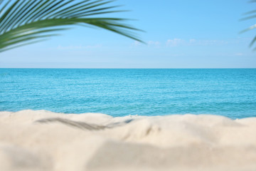 Obraz na płótnie Canvas Sandy beach near sea on sunny day