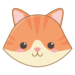 Isolated cat cartoon design vector illustrator