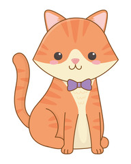 Isolated cat cartoon design vector illustrator