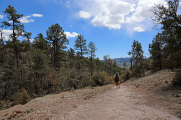 A hiker and his dog hike on a trail in Gila National Forest, New Mexico.