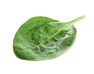 Fresh green healthy baby spinach leaf isolated on white