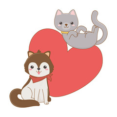 Isolated cat and dog cartoon design