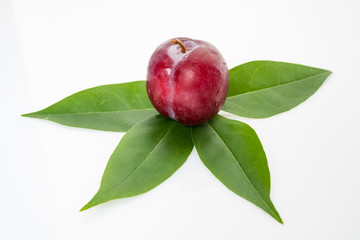 plums with plum leaves on a white background