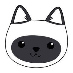 Isolated cat cartoon design