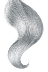 Fototapeta premium Gray hair isolated on white background. Long ponytail.