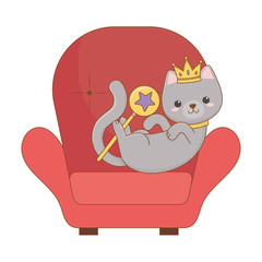 Isolated cat cartoon design vector illustrator