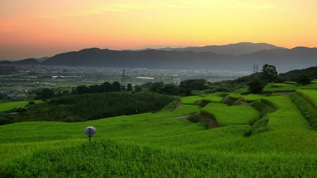 Scenic landscape at sunrise