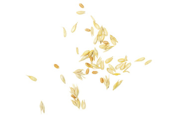 Lot of whole lot of pieces of golden bread wheat ear isolated on white background