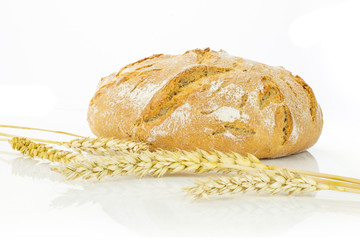 One whole crispy fresh baked rye wheat bread with golden wheat ears isolated on white background