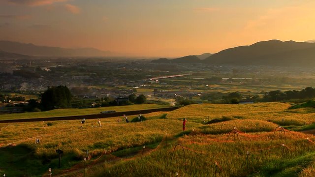 Zoom out view of field at sunrise