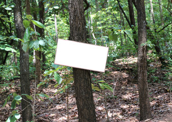 blank sign on the tree background.