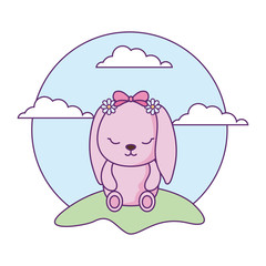 cute little bunny baby in landscape