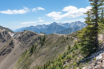 Fototapeta na wymiar Hiking Trail on a Mountain Top