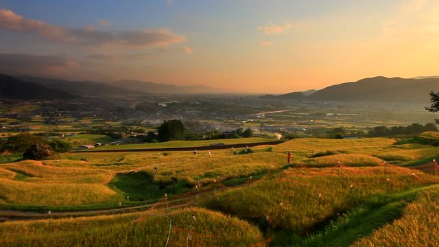 Panning shot view of field at sunrise