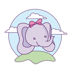 head of cute little elephant baby in landscape