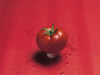 tomato on red background