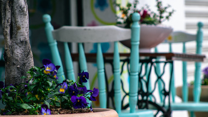 Flores y sillas