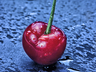 cherries on blue background