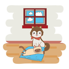 Cat and dog cartoon design