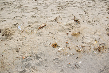 Dirty beach fully with plastic garbage and polluted environment.
