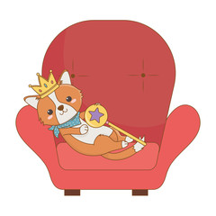 Isolated dog cartoon design vector illustrator