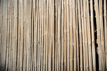 Vintage old bamboo fence close up.  Background and texture.