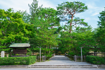 京都　大覚寺　夏