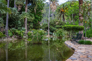 Fototapeta na wymiar Pond in the Alfabia Gardens park, Mallorca, Spain