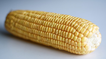 Peeled yellow corn cob on white background.