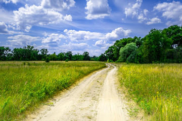 Fototapeta na wymiar Dirt road winding through wild grass and trees in Belarus countryside