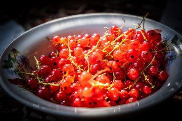 Ray of light making redcurrant berries glow in vivid red