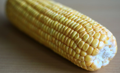 Peeled yellow corn cob on wood background.