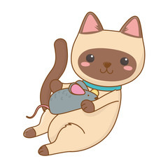 Cat cartoon design vector illustrator