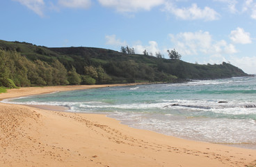 Sandy Hawaii Beach On A Summer Day