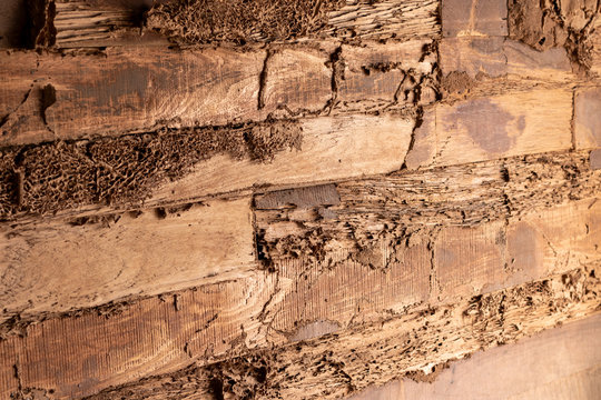Old wooden walls have been decayed because of termites eating.