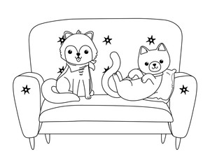 Cat and dog cartoon design vector illustrator