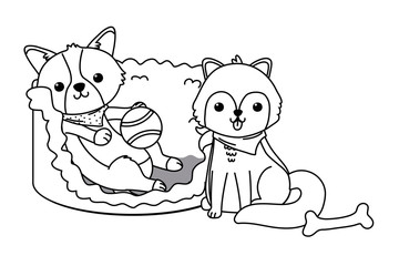 Dogs cartoons design vector illustrator