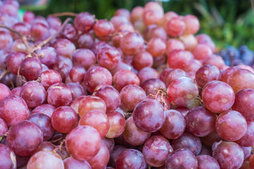 Fresh grapes are excellent fruit. Suitable for eating, beneficial to the body.