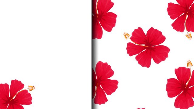 exotic flowers tropical pattern animation