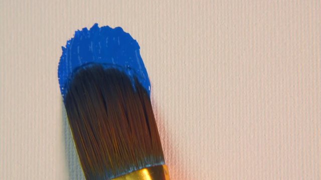 Blue colour brush stroke on white canvas close-up